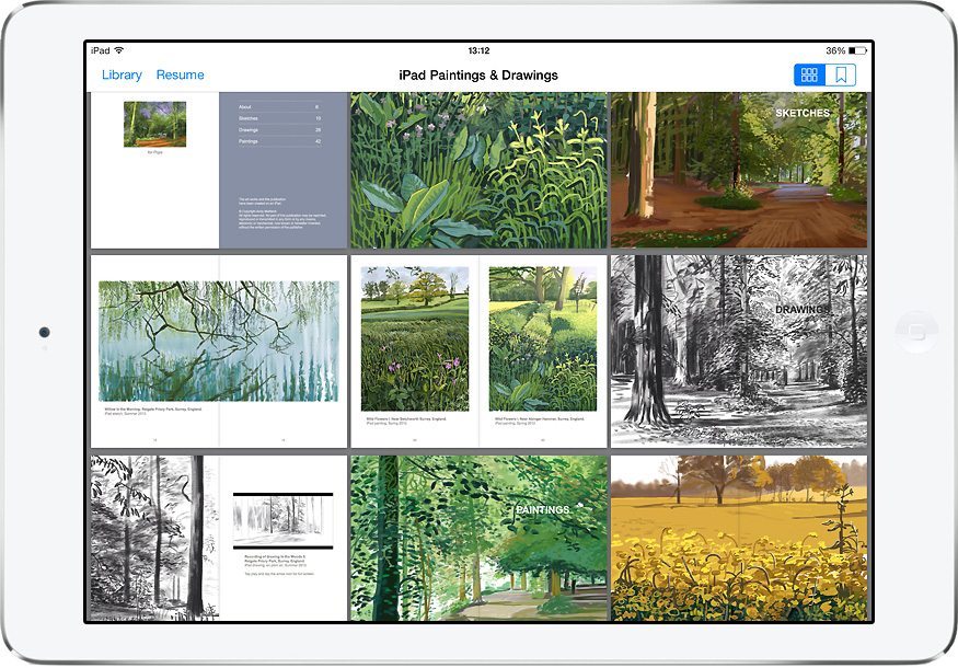 Featured image for “iPad artist goes from blank canvas to published ebook”
