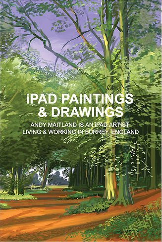 iPad Paintings and Drawings front cover