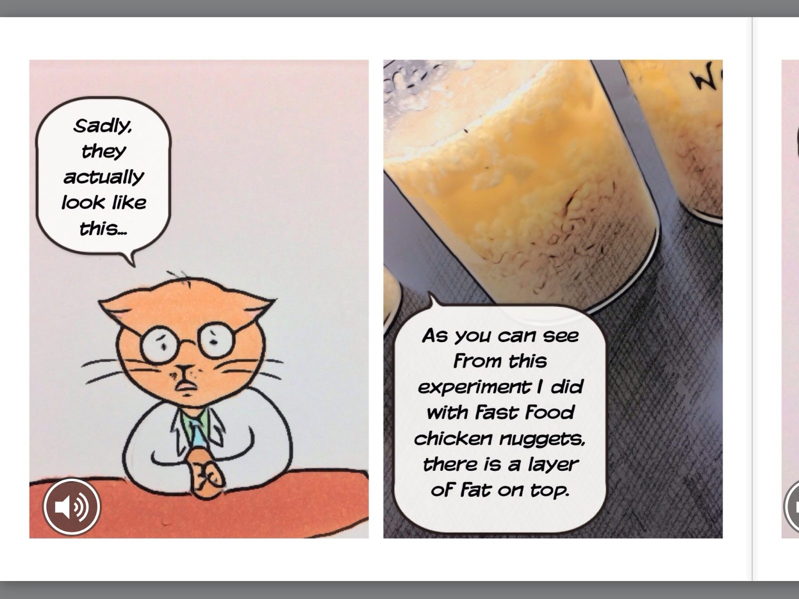 Screenshot from book