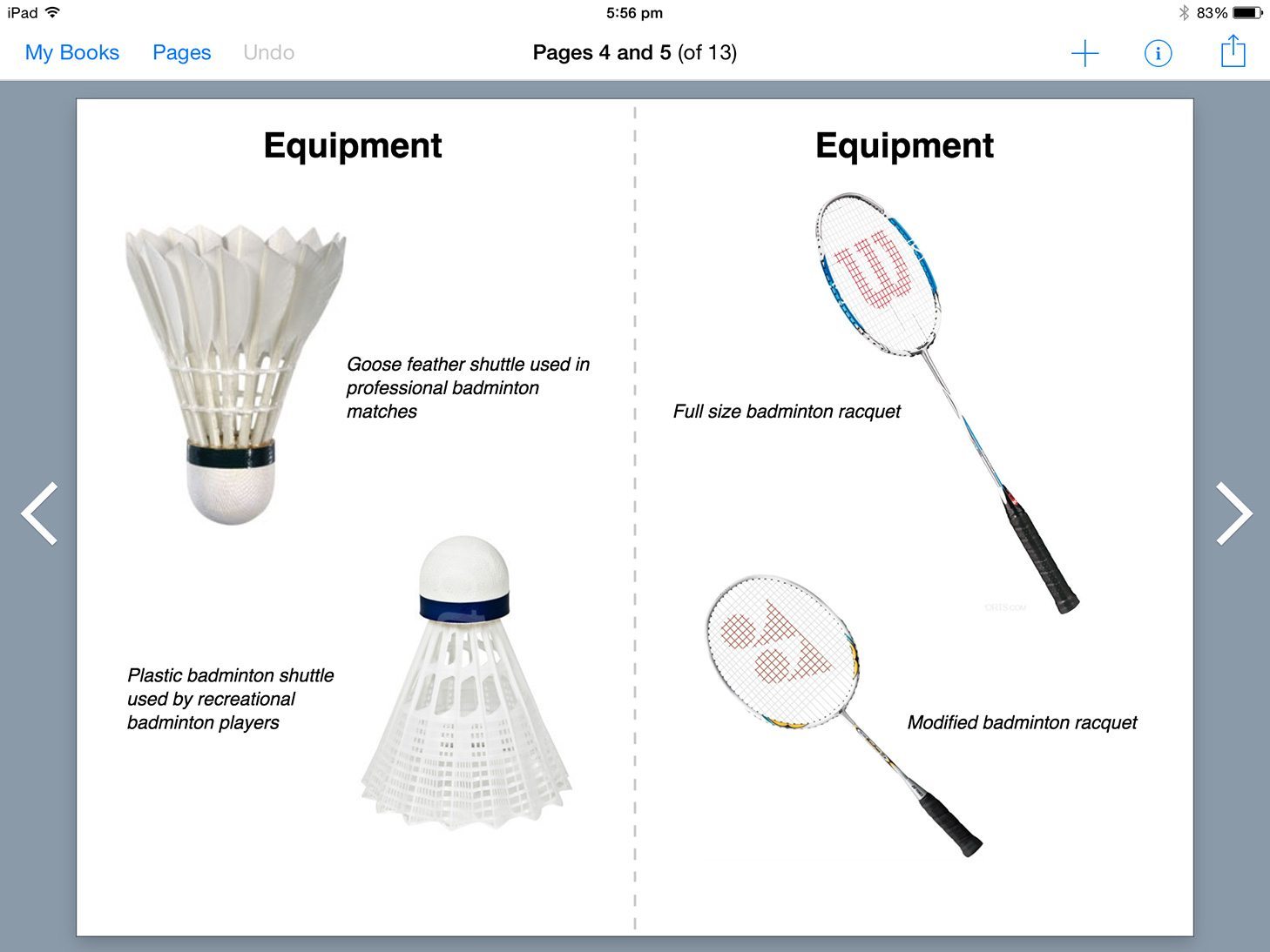 Badminton book