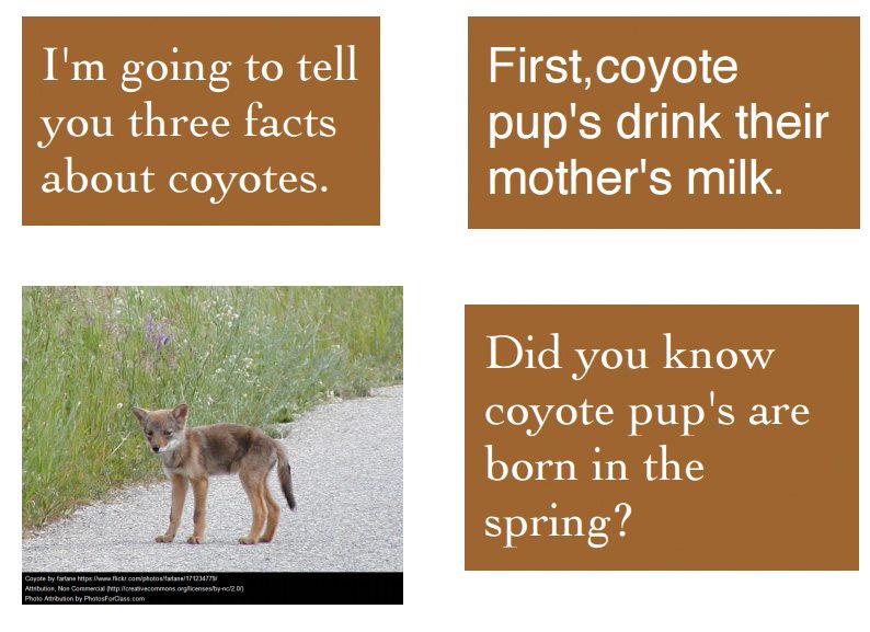 A page from the Coyote research book