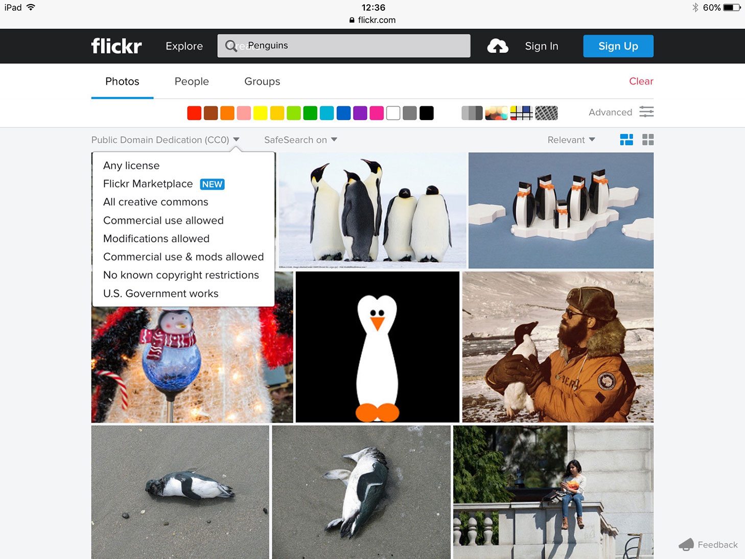 Doing a search for penguins on Flickr