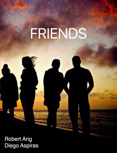 Cover art for Friends book