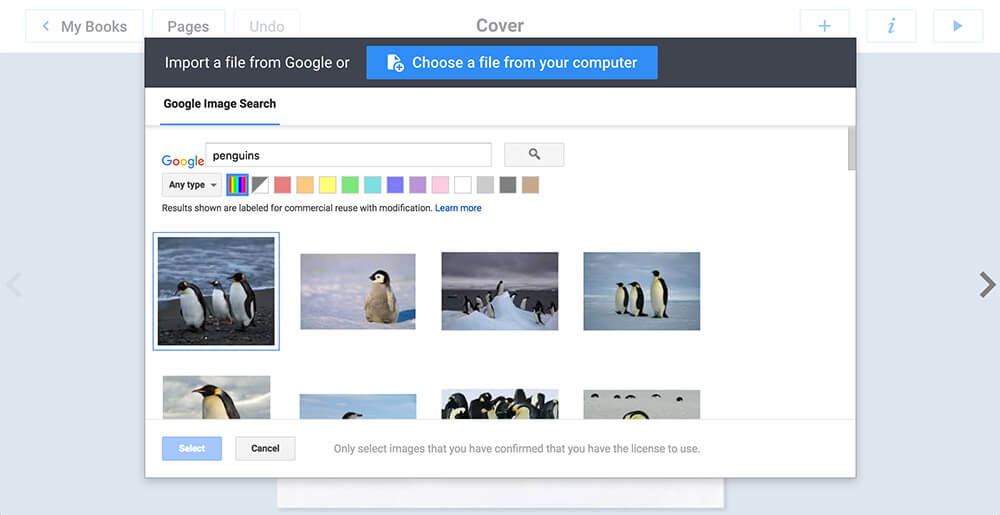 Performing a search for penguins in Google Image Search