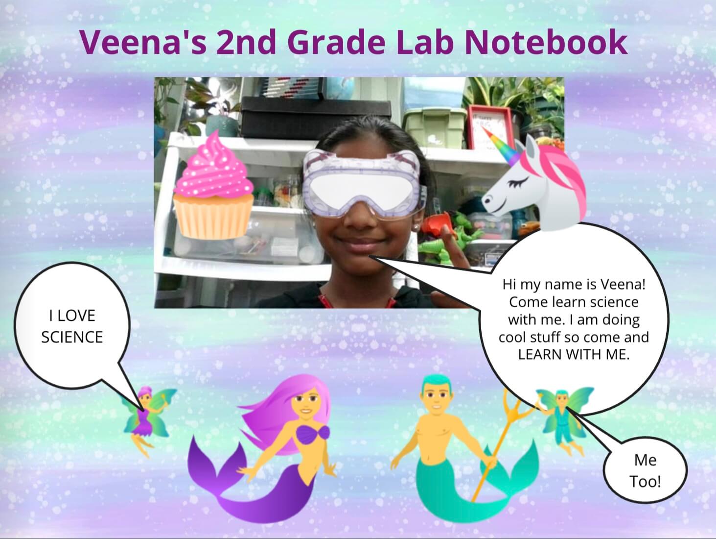 Veena's 2nd grade lab notebook