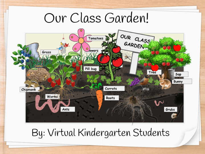 Our Class Garden Book