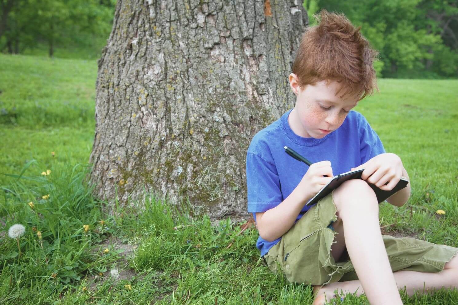 A young boy with red hair and freckles is sitting on the grass, leaning against a large tree trunk. He is wearing a blue t-shirt and green shorts, concentrating on writing in a notebook with a pen. The background is a lush, green park with grass, scattered yellow flowers, and trees in the distance. The scene captures a peaceful moment of outdoor learning and nature journaling.